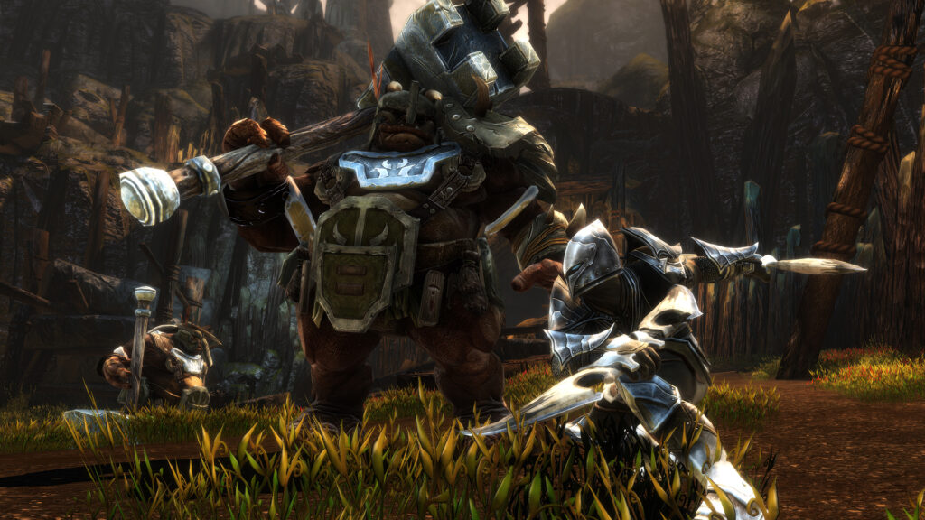 Kingdoms of Amalur Re Reckoning screenshot 3