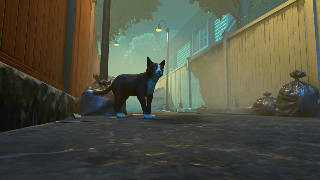 Copycat screenshot 1