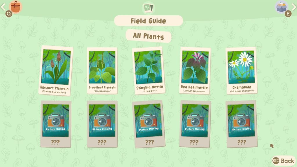 Out and About screenshot 2