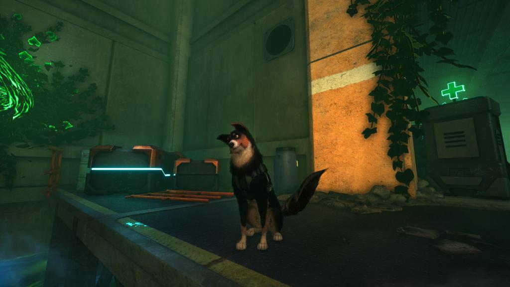 Barkour screenshot 1