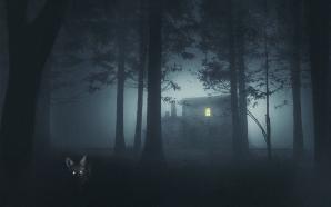 Shelby Oaks, an upcoming horror mystery from Chris Stuckmann