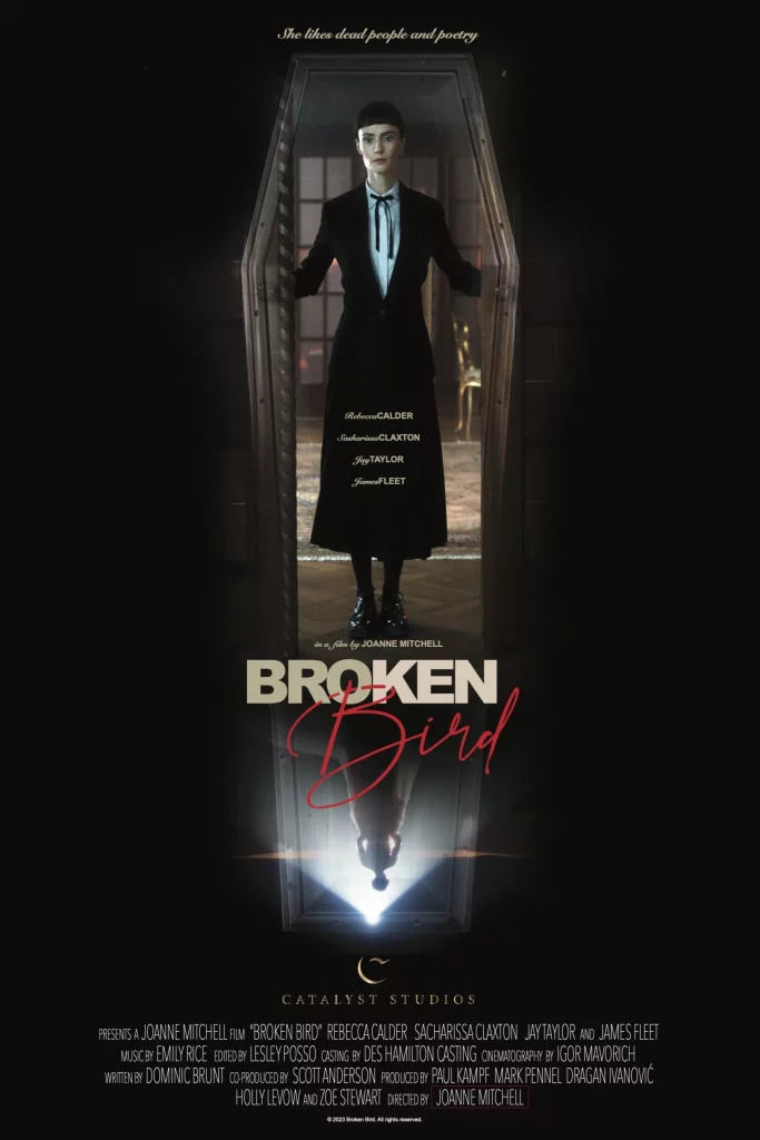Broken Bird movie poster