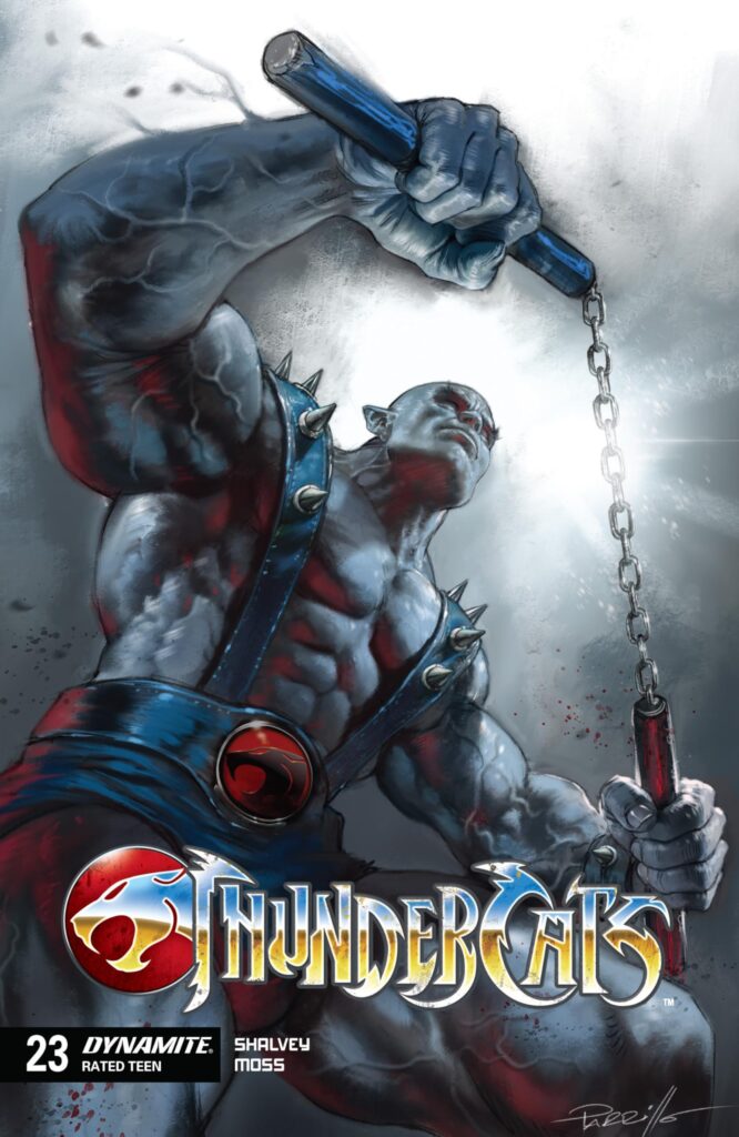 ThunderCats #23 cover