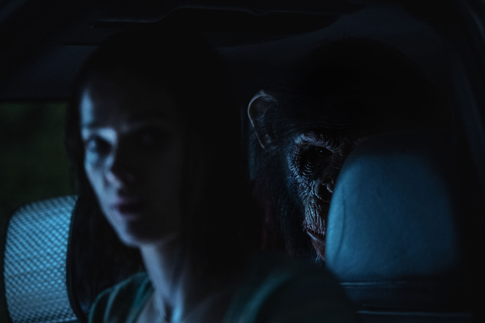 Primate movie still 1