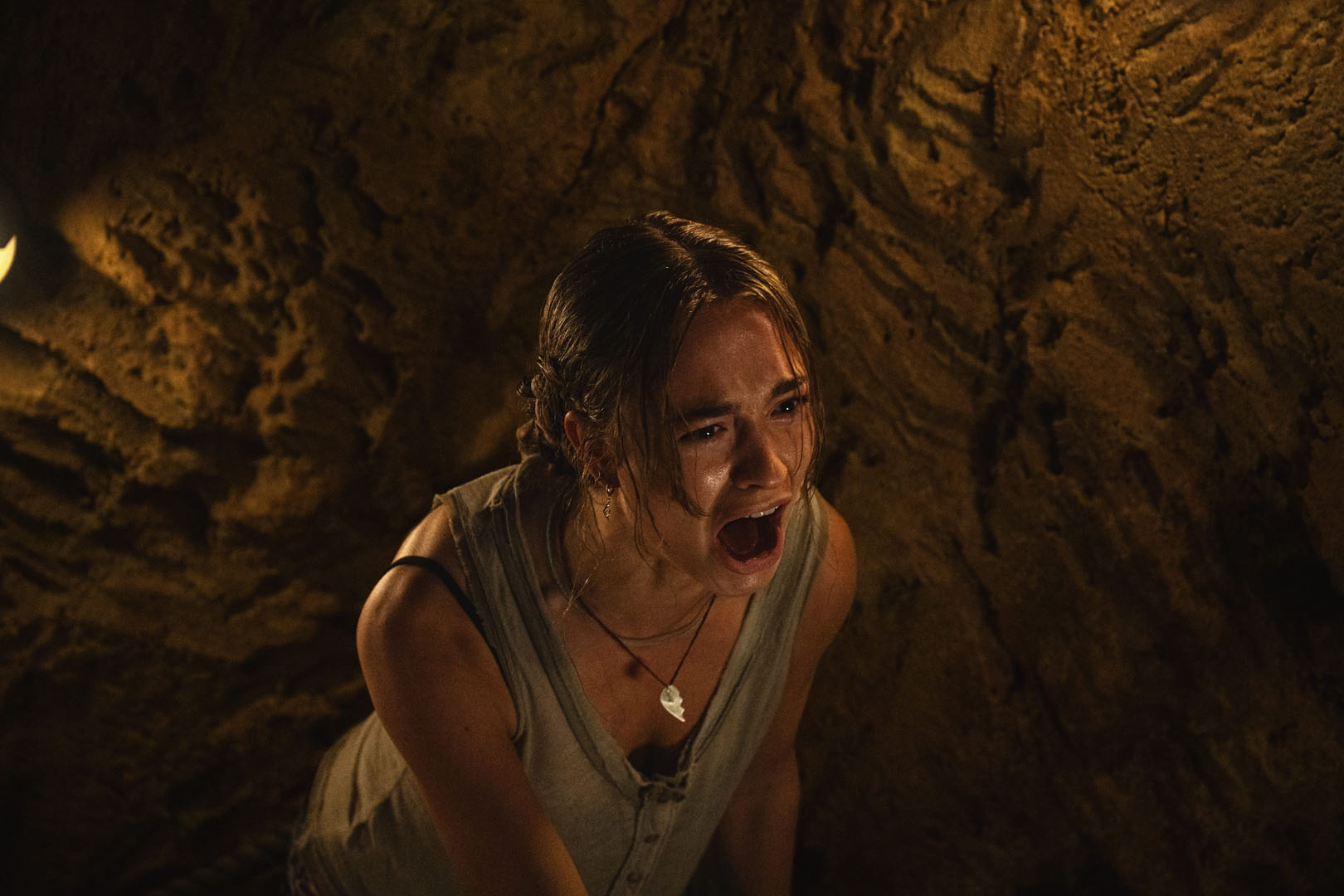 Primate movie still 3