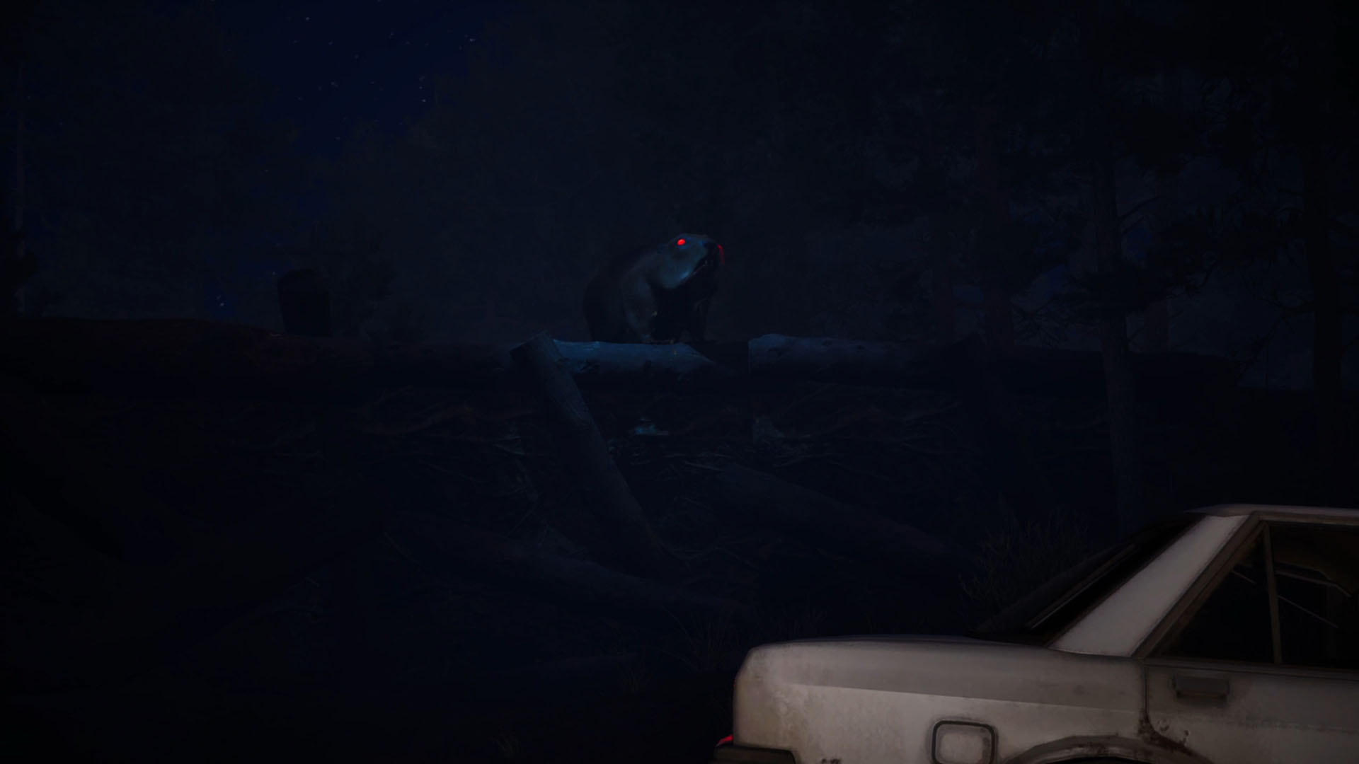 Don’t Mess With Bober gameplay screenshot 4