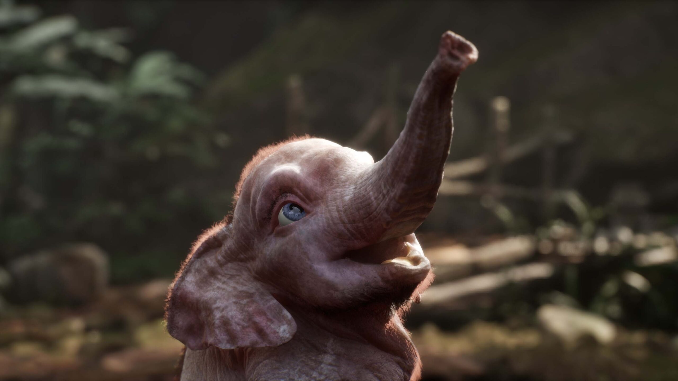 Hanno: A Magical Tale screenshot 1